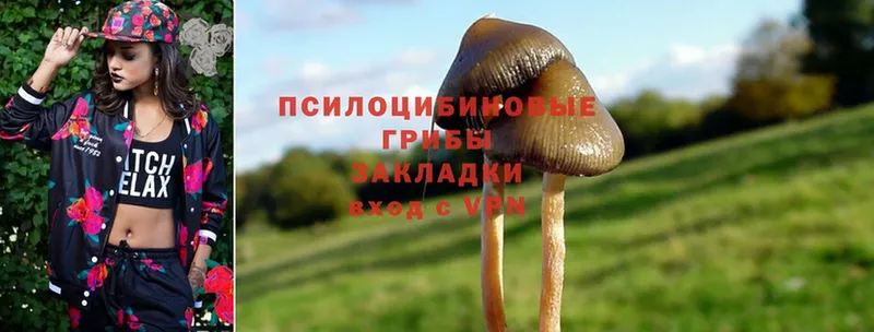 Псилоцибиновые грибы GOLDEN TEACHER  Тырныауз 